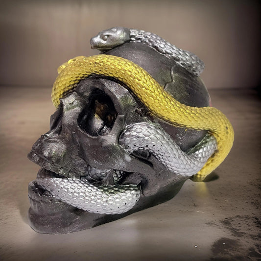 Extra Large Resin Snake Skull Kaylas Candles and Creations