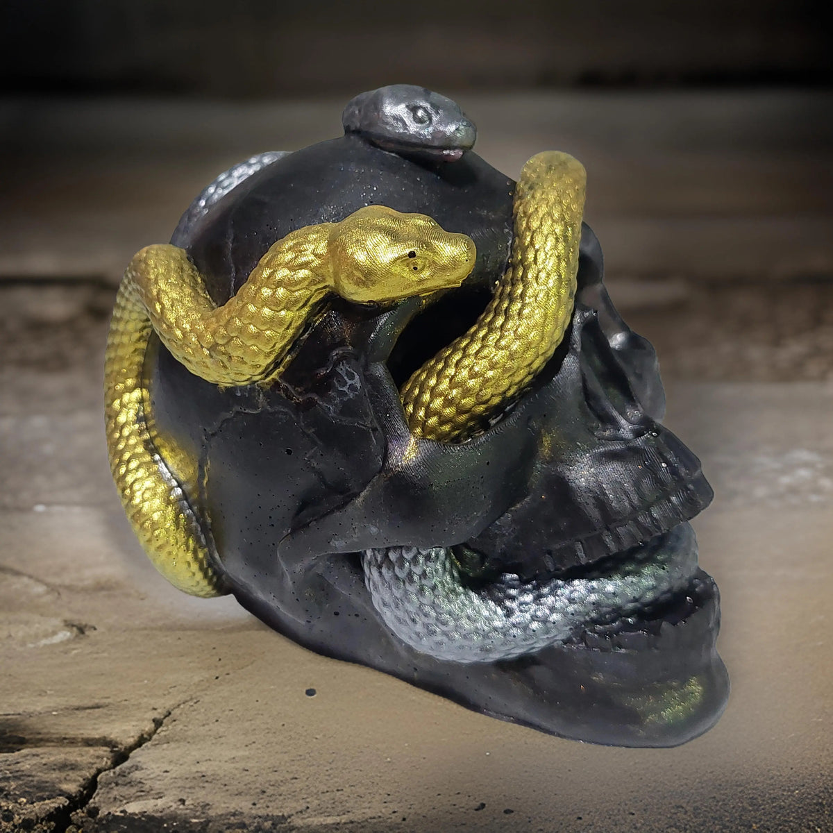 Extra Large Resin Snake Skull Kaylas Candles and Creations