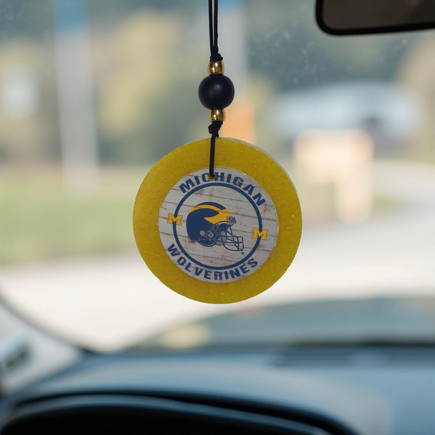 College Football Car Freshies - Big Ten Conference
