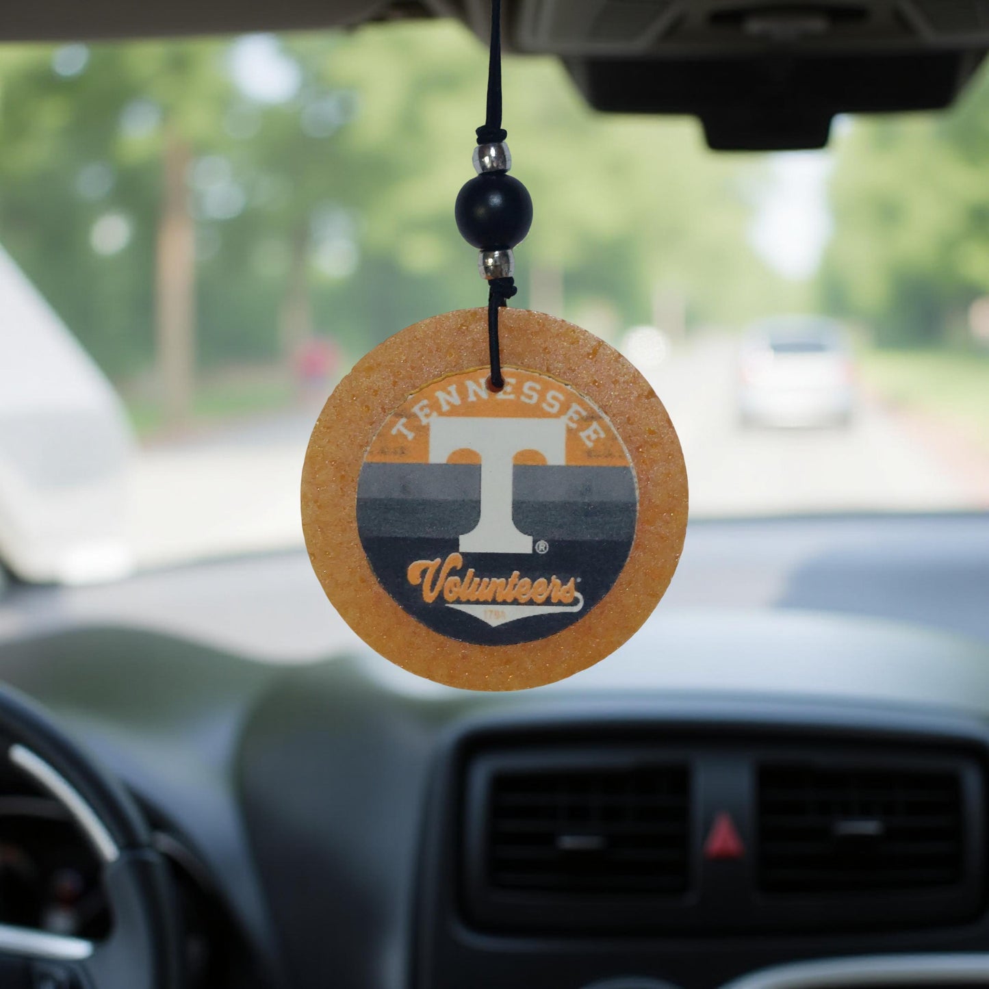 College Football Car Freshies -SEC