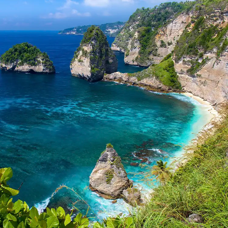 Scented Soy Wax Melts