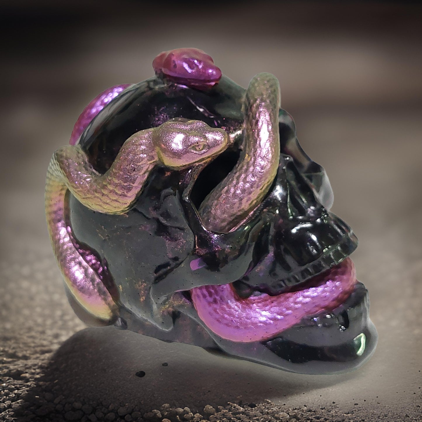 Black Snake Skull