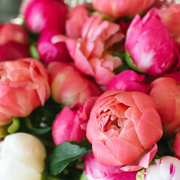 Scented Soy Wax Melts