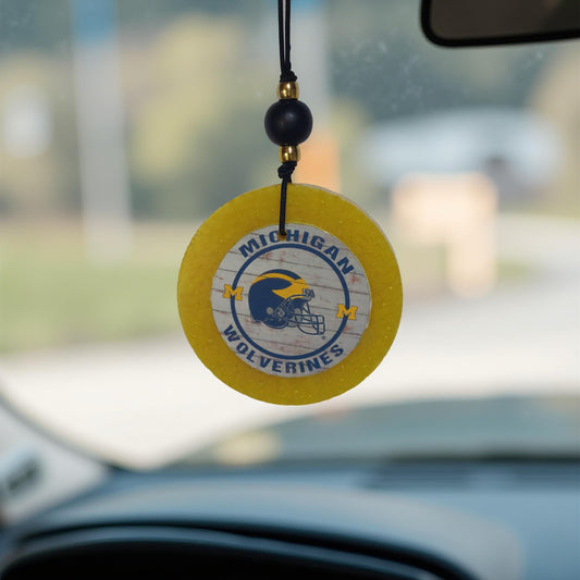 College Football Car Freshies - Big Ten Conference