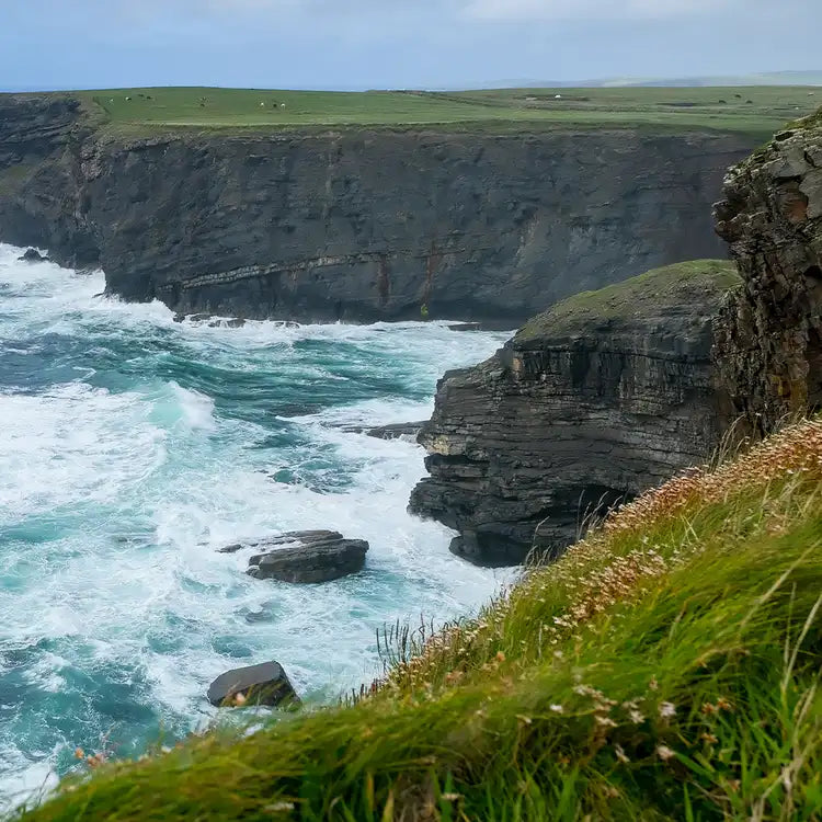 Scented Soy Wax Melts