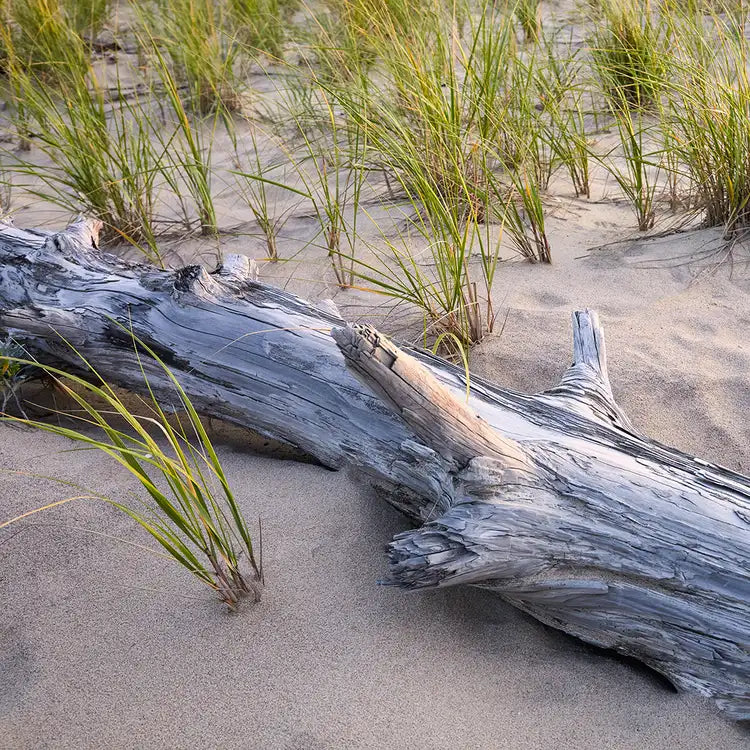 Scented Soy Wax Melts