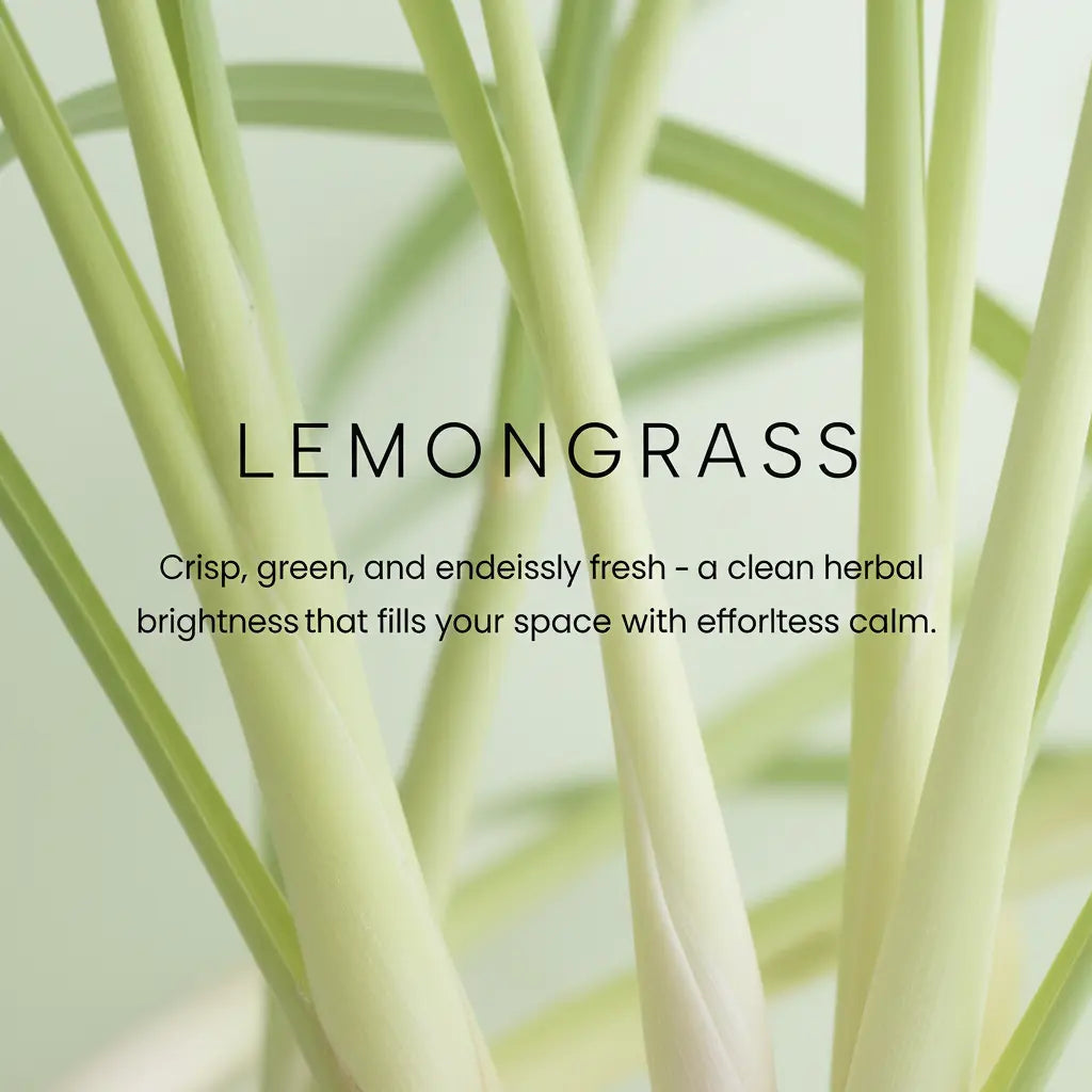 Lemongrass Coconut Wax Candle Kaylas Candles and Creations